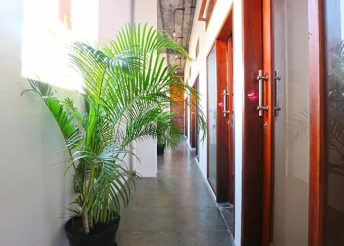 Хостел The Moon House For Entrepreneurs Dalung (Bali)